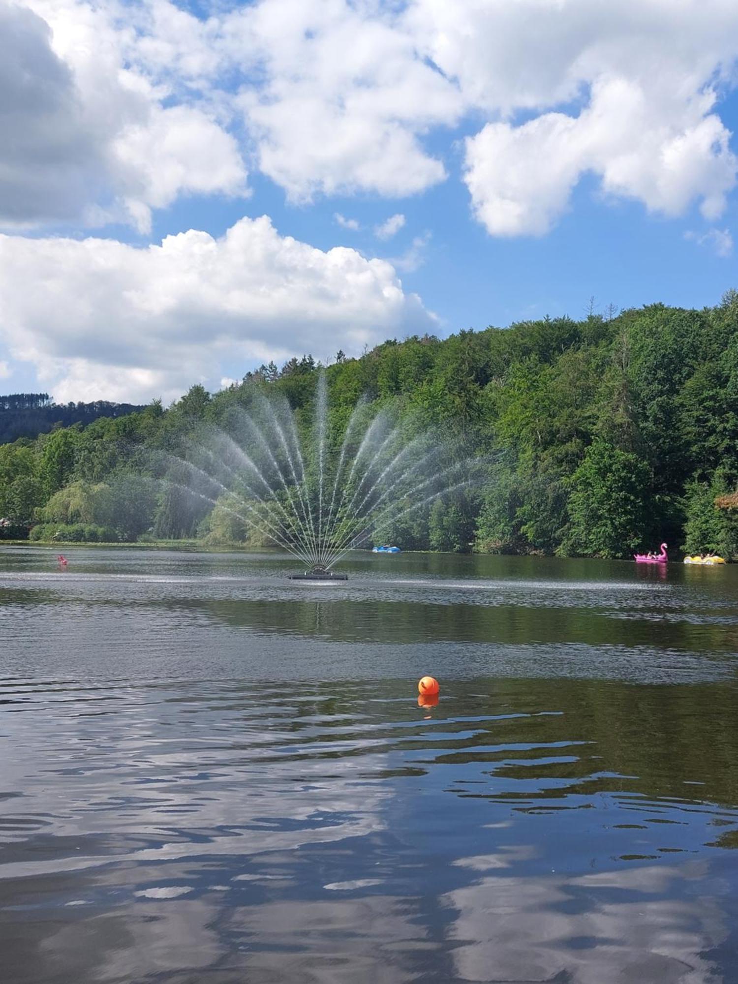 Ferienwohnung Gipfelglueck Mit Fernblick Und Strandkorb Bad Sachsa Bagian luar foto